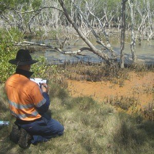 flora fauna aquatic surveys highway upgrate roads environmental ecology assessment