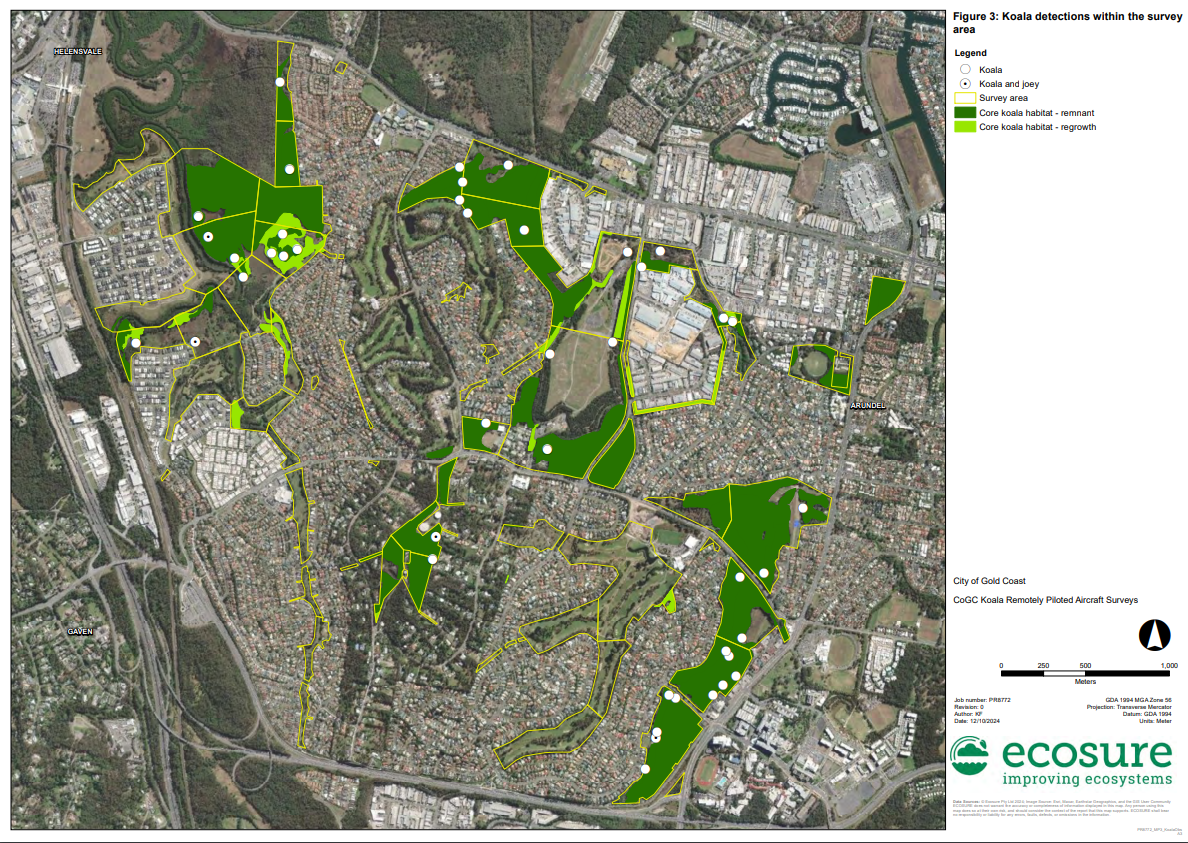 Thermal Drone Survey Uncovers Vital Koala Insights 3 Koala Detections within the survey area