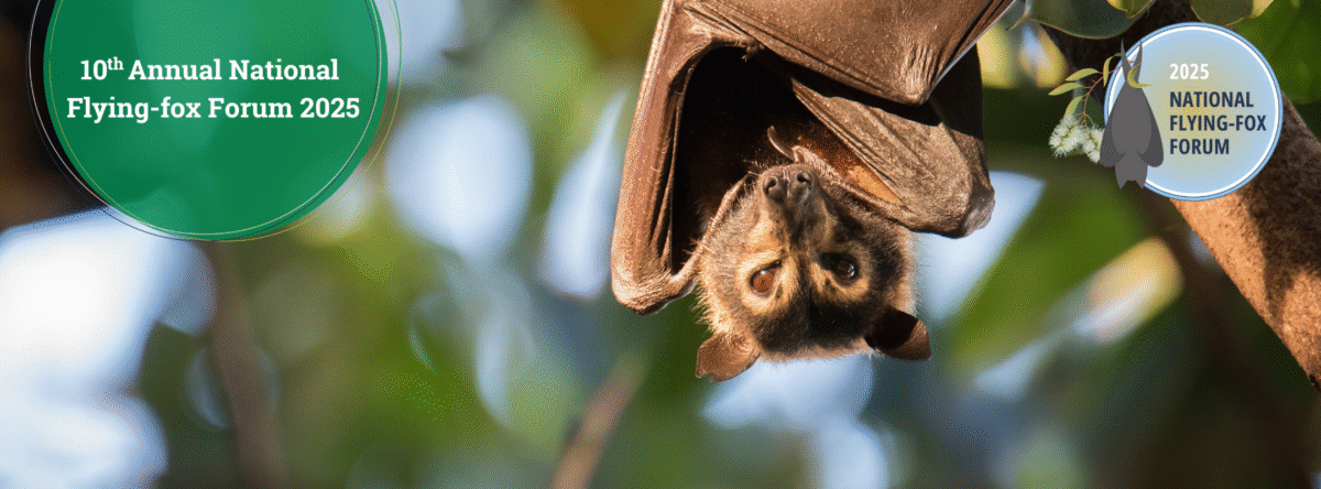 Flying-fox forum 2025 header