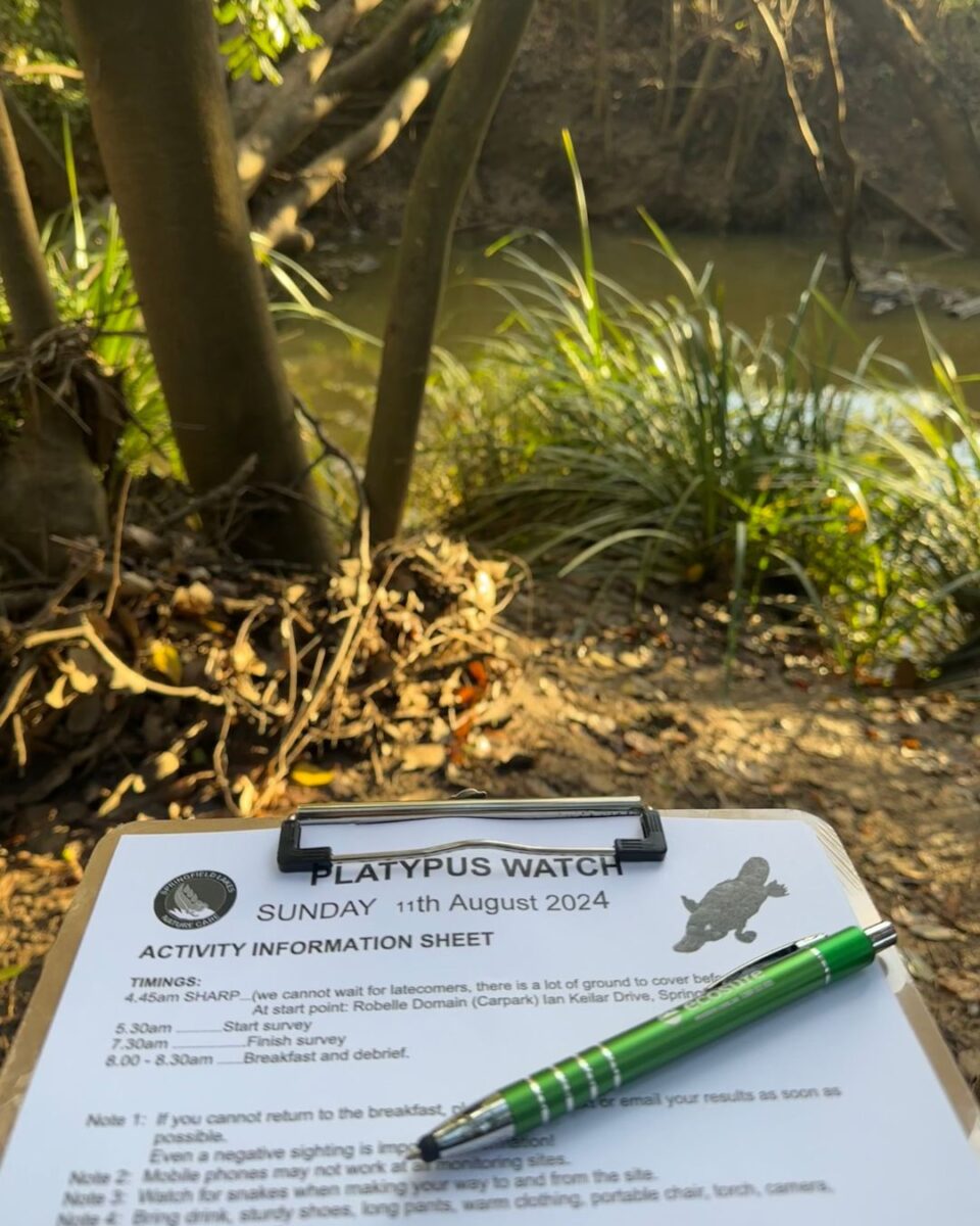 platypus watch scaled