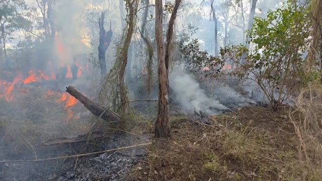 ecosures ecological burn at aroo