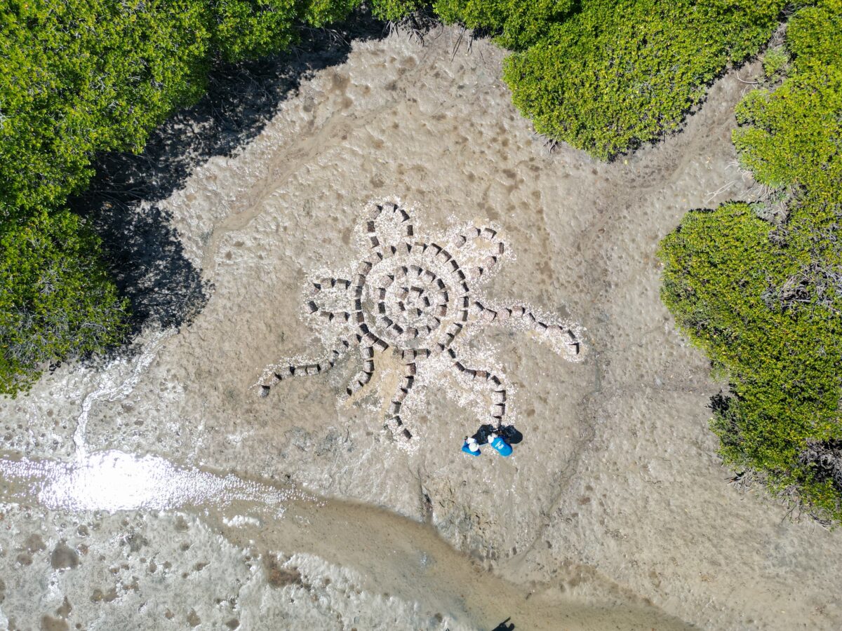 DJI 0108 1 scaled