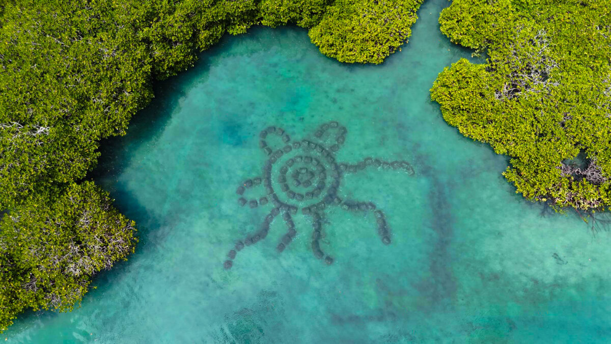 woppa island reef and oyster installation