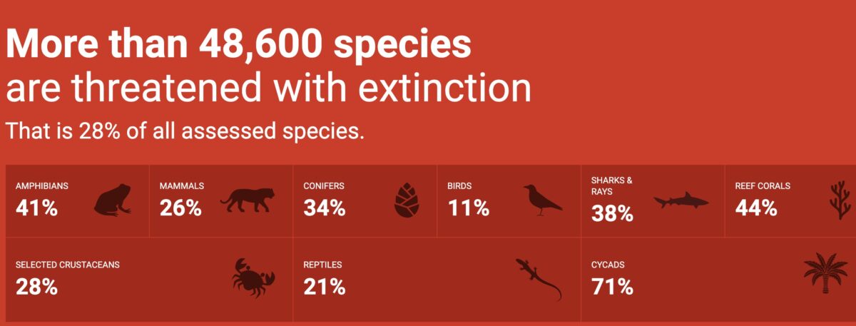 IUCN red list infographic scaled