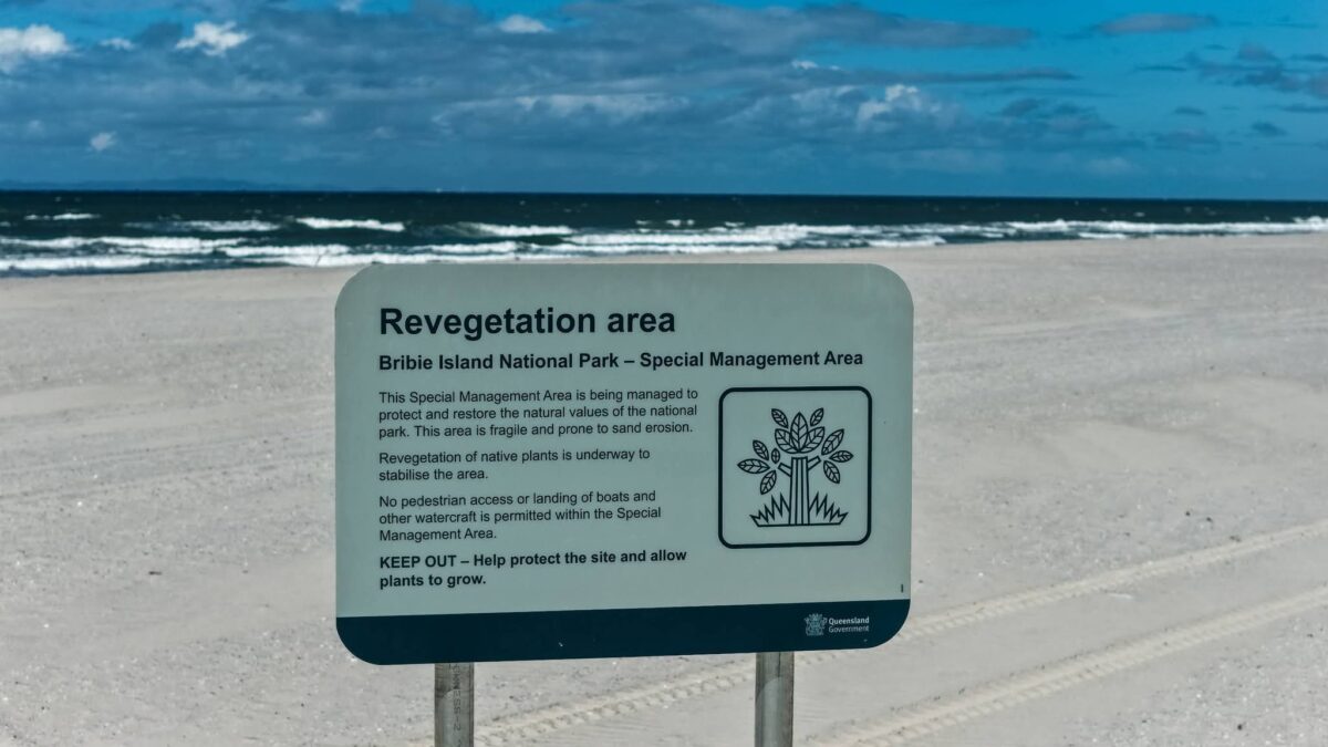 bribie island 7 scaled